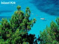 Apartments PROHASKA, Korni